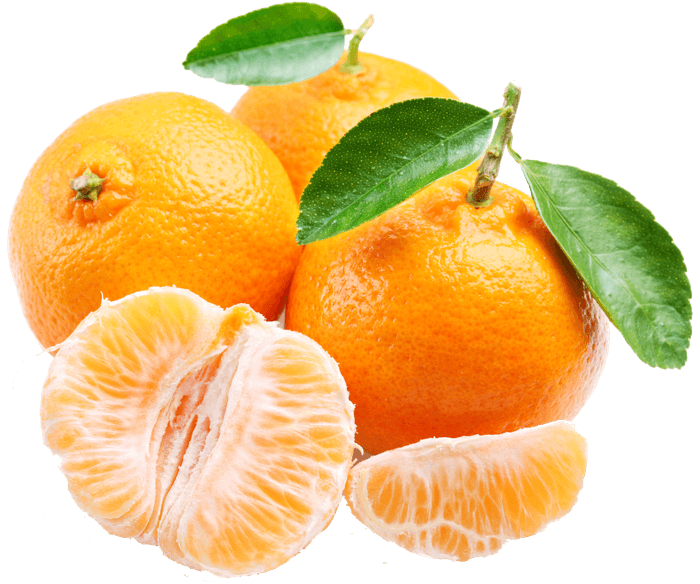 Mandarine Nadorkott