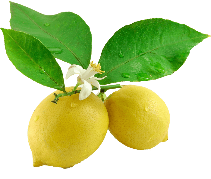 Lemon