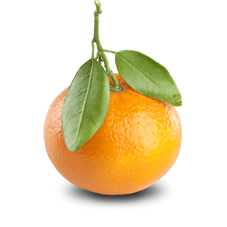 Nova tangerine